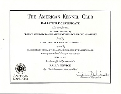 Small Picture of Rhys's certificate